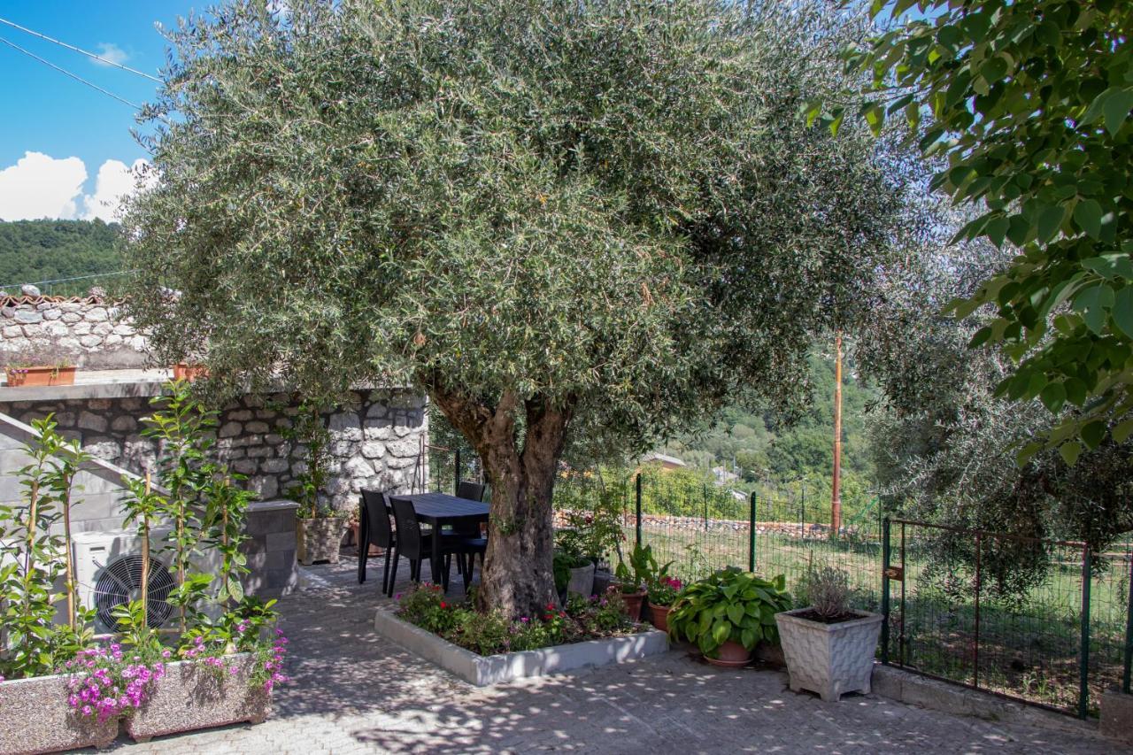 Casa Degli Ulivi Con Parcheggio Privato Apartment Muro Lucano Bagian luar foto